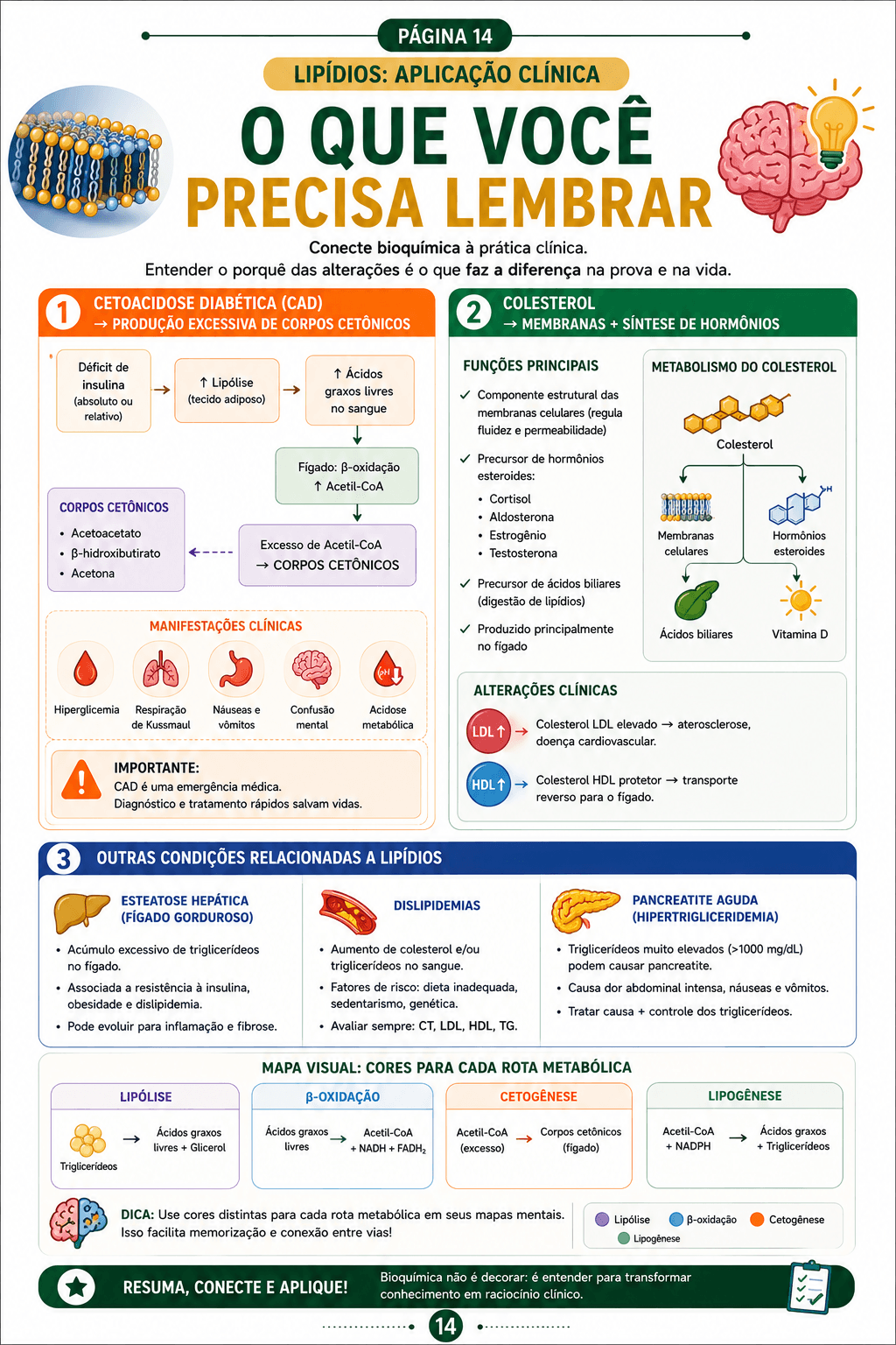 Página interna 3 do Metabolismo Descomplicado